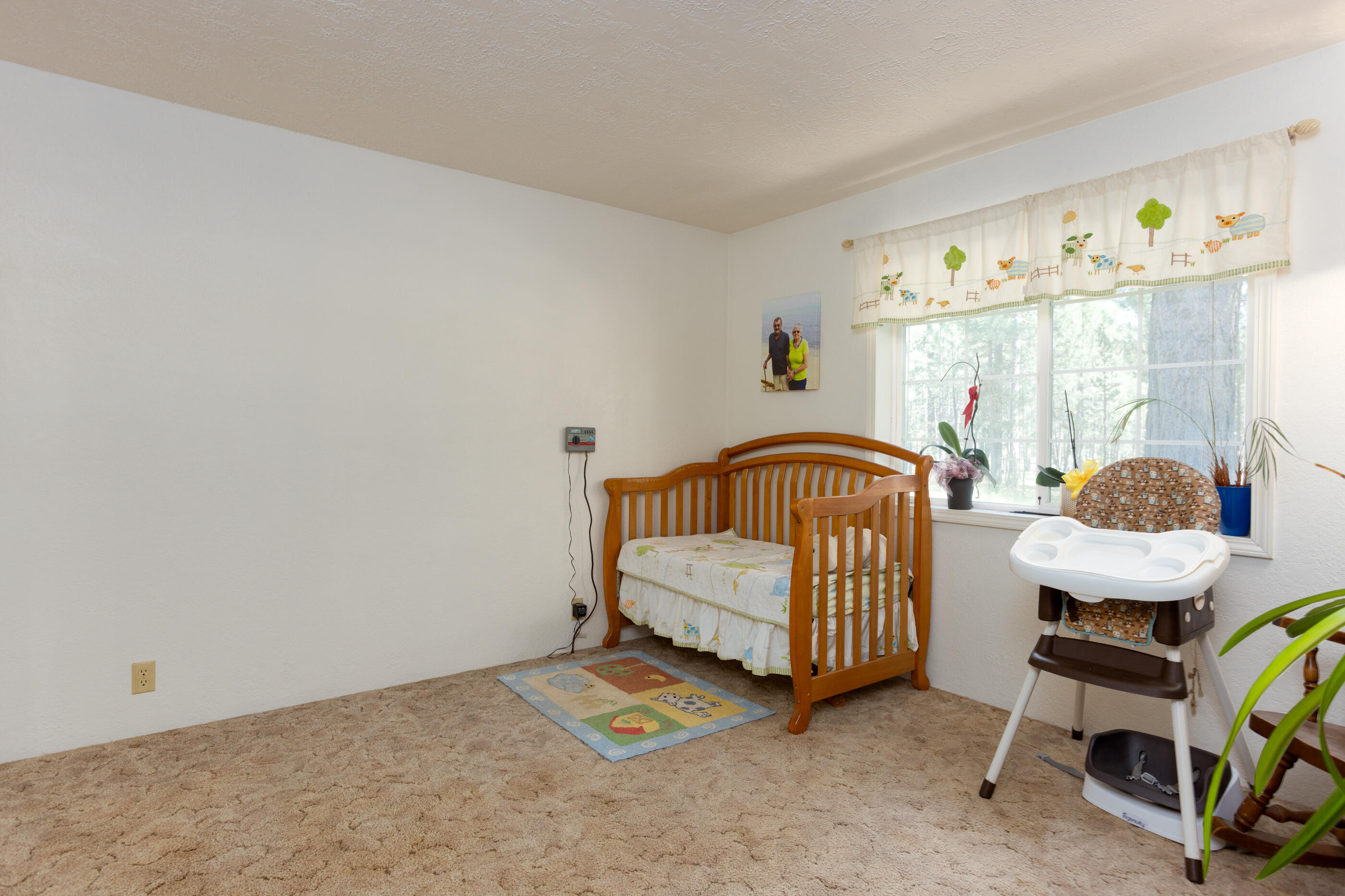 Ponderosa Pines - Residential