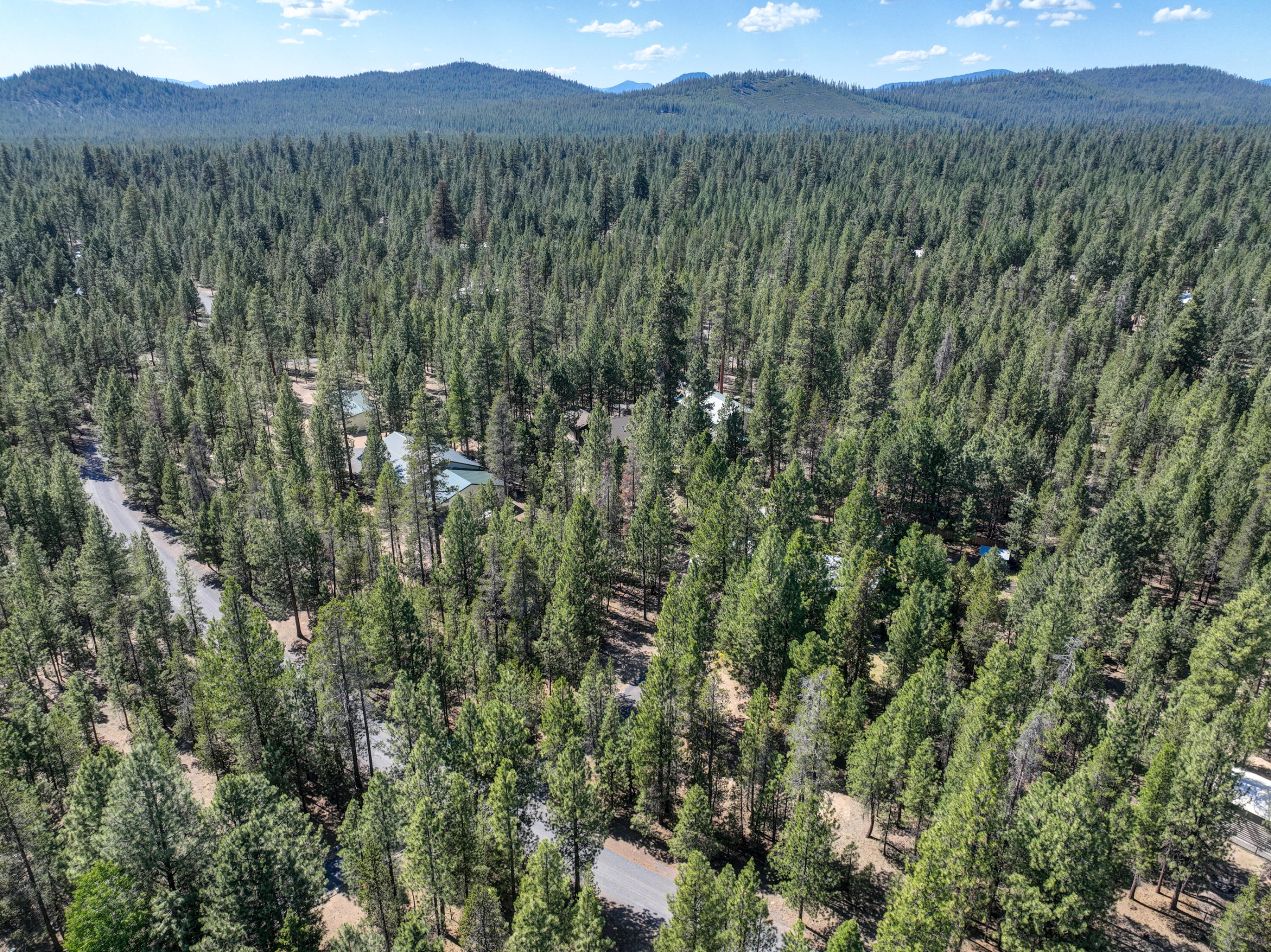 Ponderosa Pines - Residential