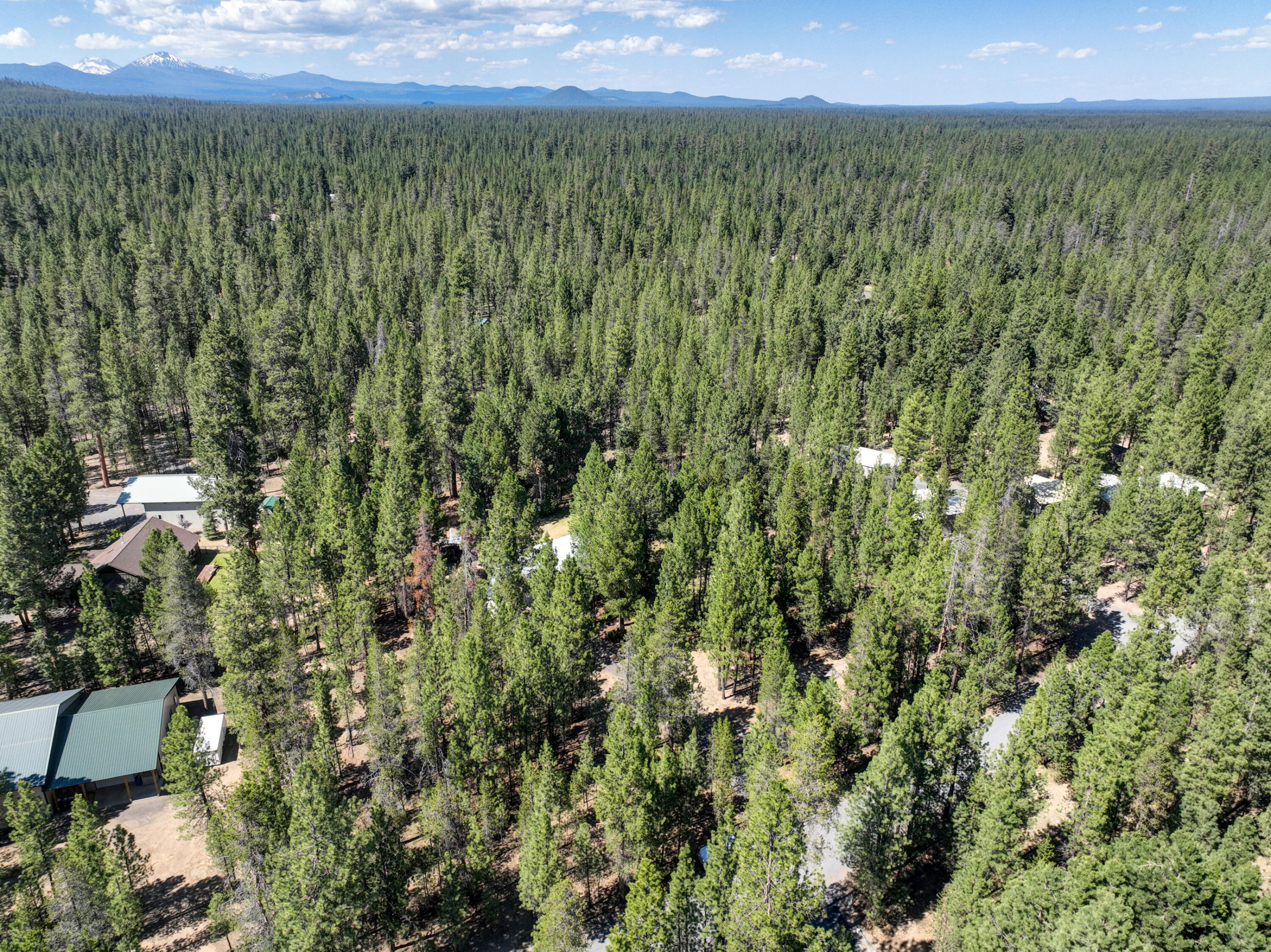 Ponderosa Pines - Residential