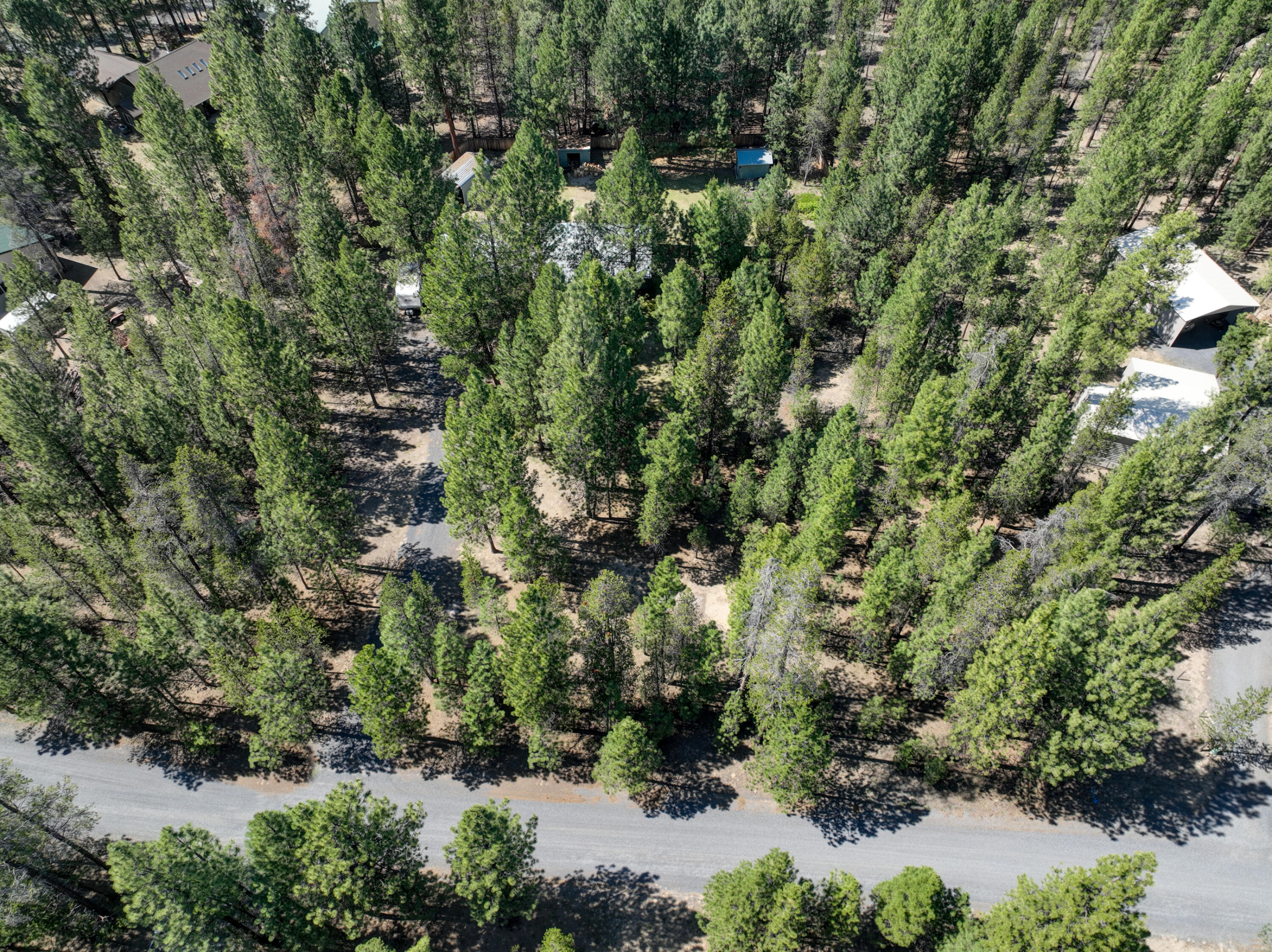 Ponderosa Pines - Residential