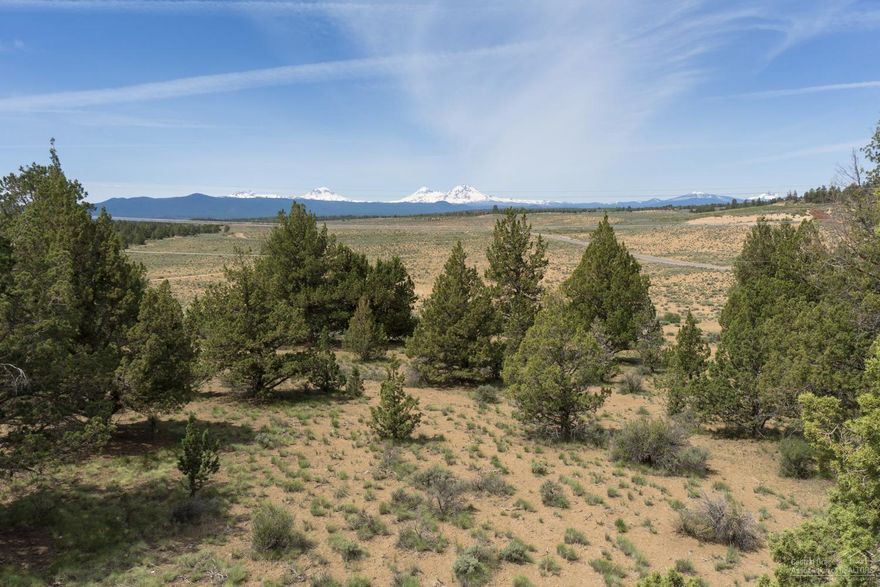 Amazing Cascade Mountain views in Tumalo! Private and convenient rural location just minutes away from Bend. Perfect treed setting to build a custom home. Private well drilled on the property in 1994 with no pump. Septic feasibility approved in August 1995. Property is two tax lots totaling 5.00 acres (Map&TL: 1612310000416 & 1612310000417).