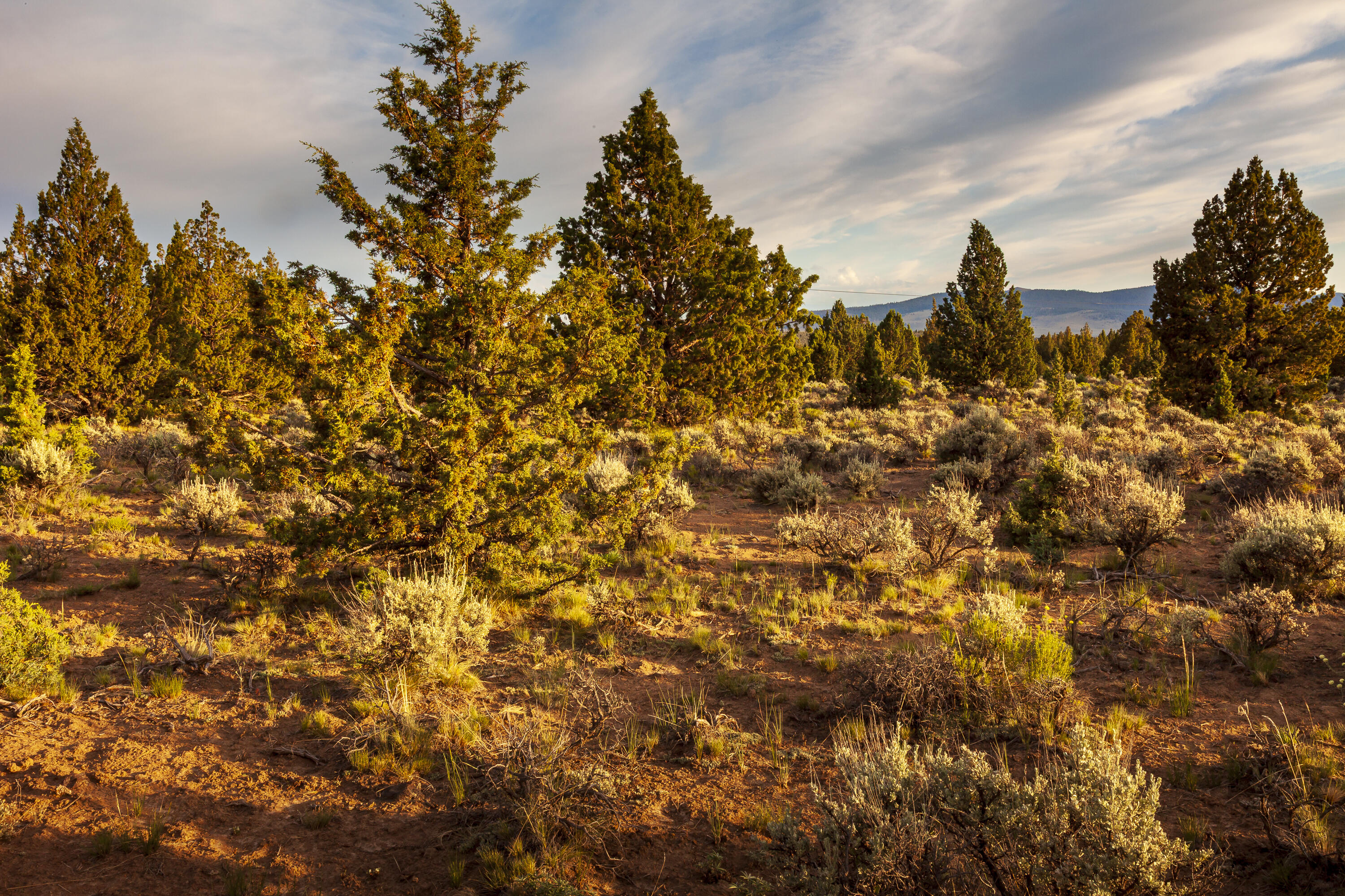Golden View Ranch - Land