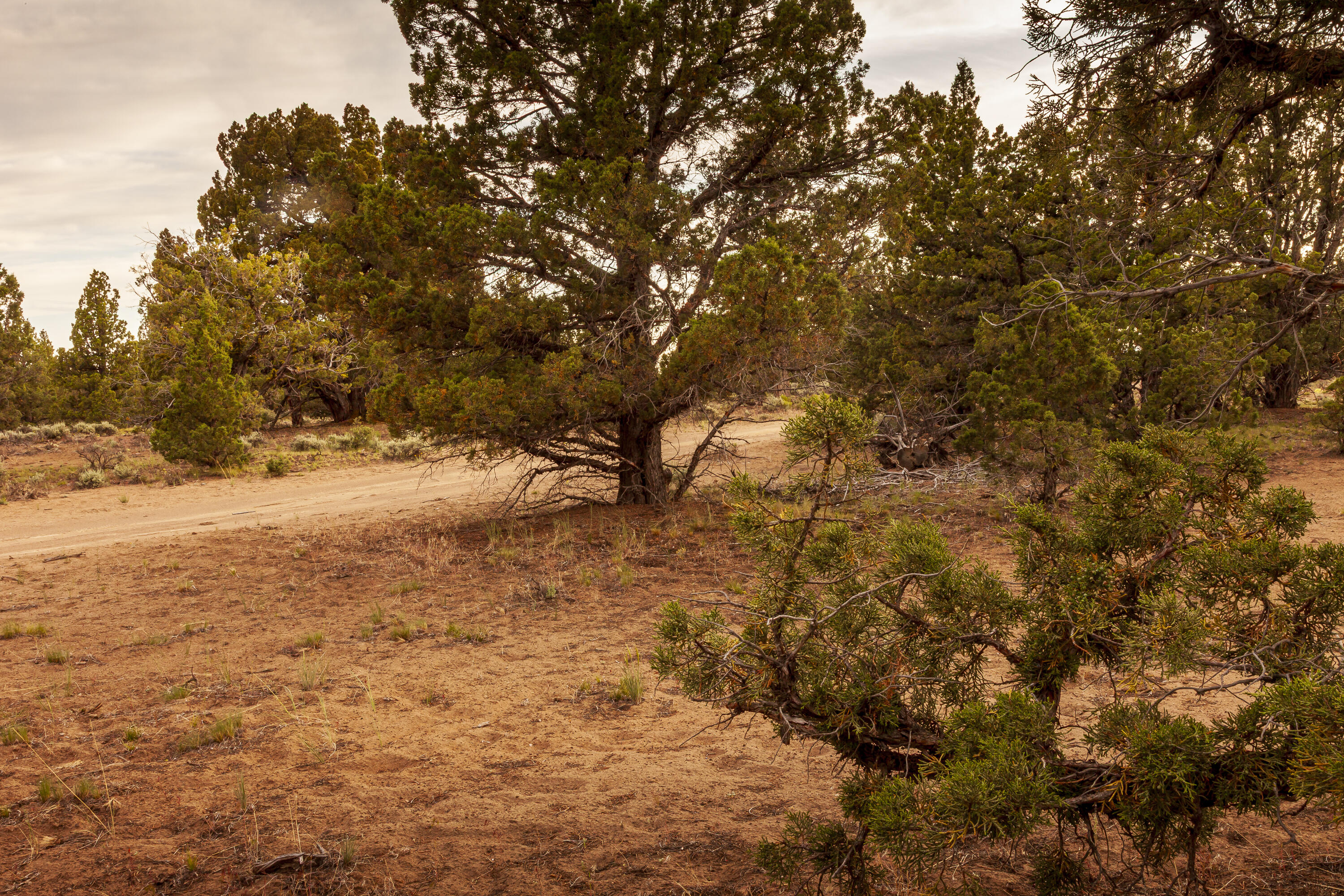 Golden View Ranch - Land