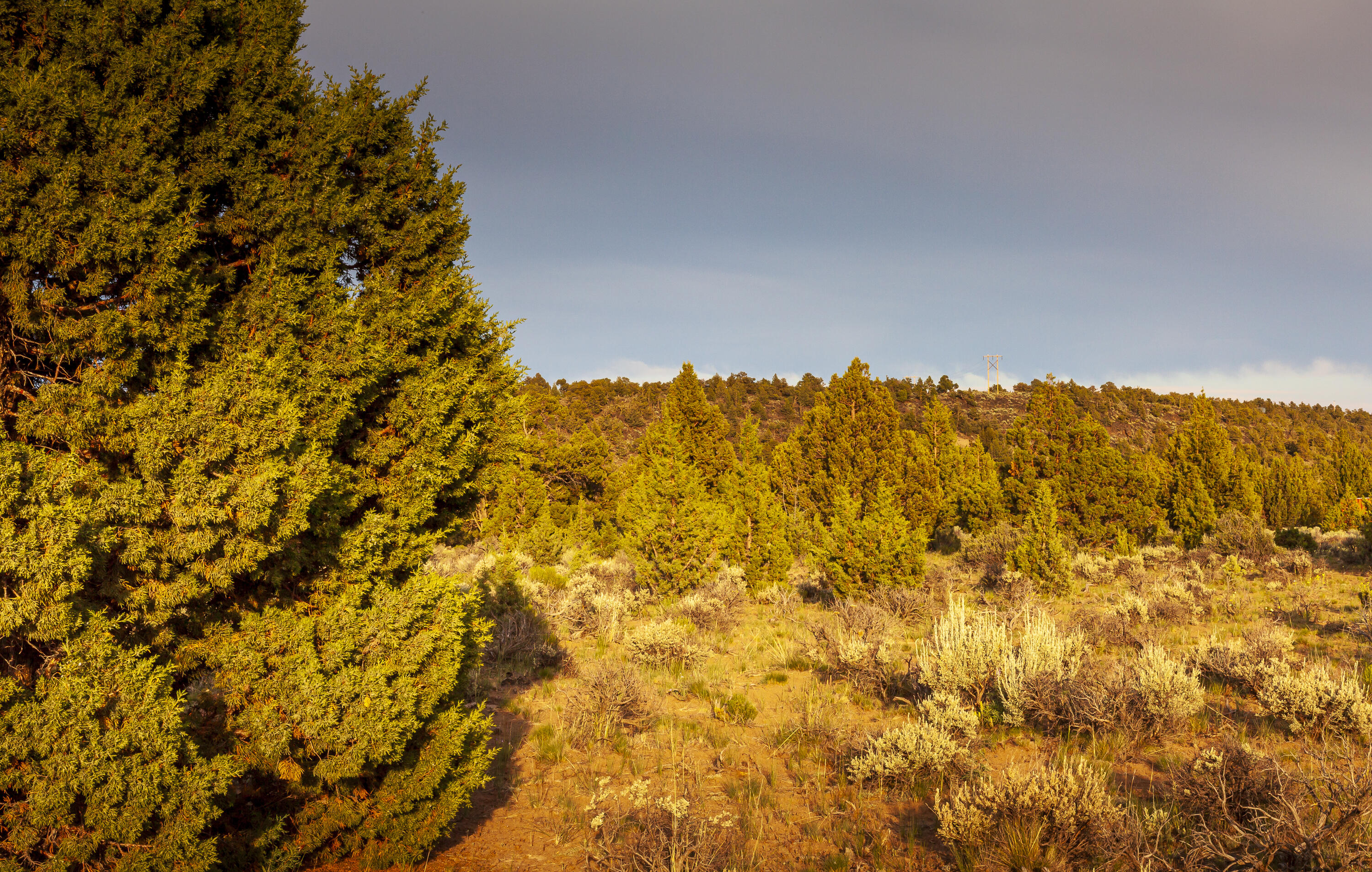 Golden View Ranch - Land
