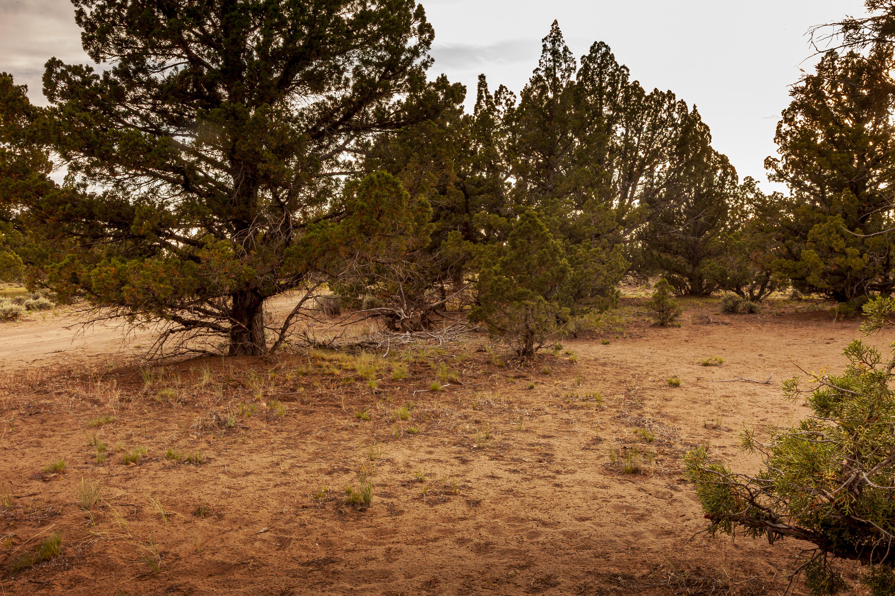 Golden View Ranch - Land