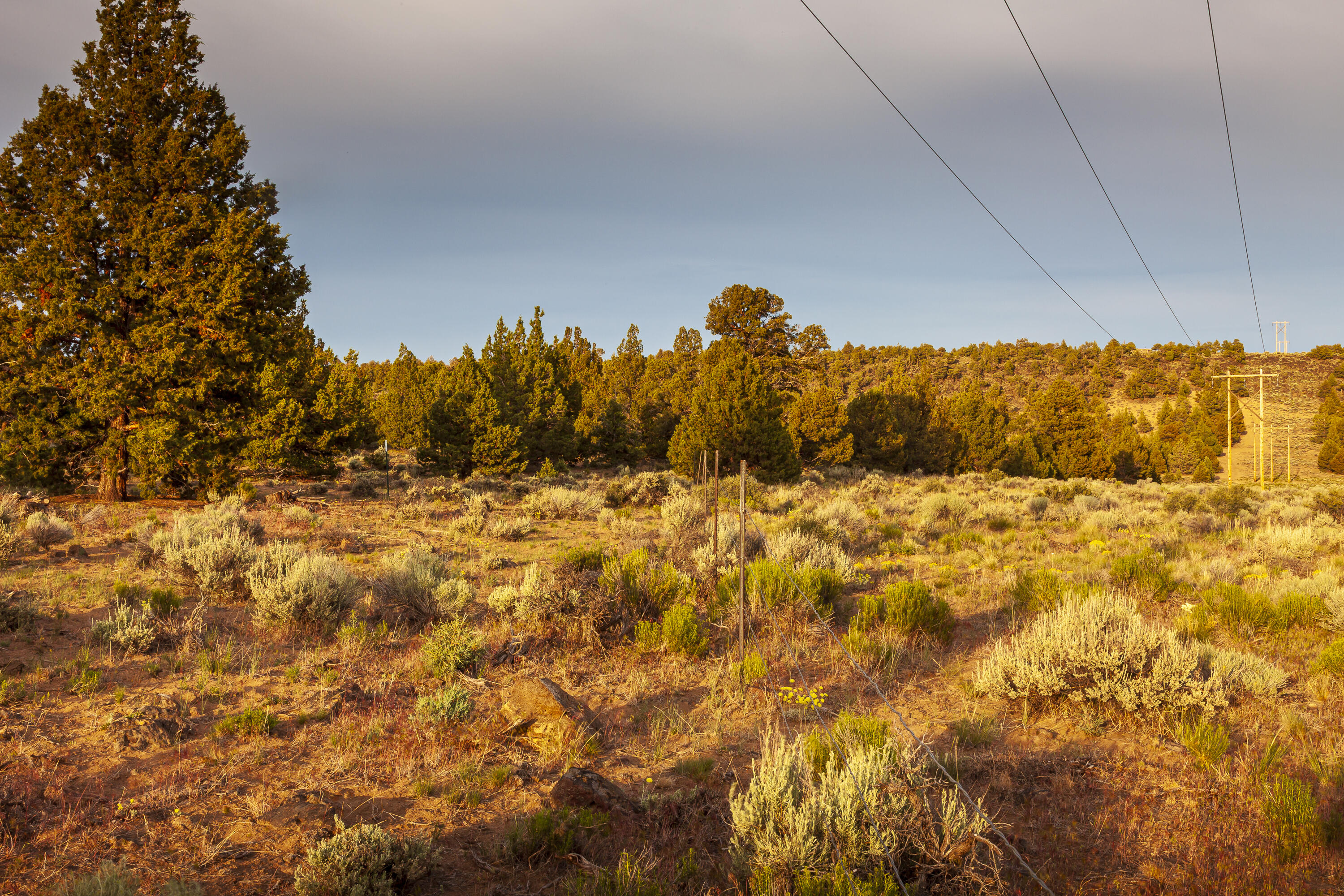 Golden View Ranch - Land