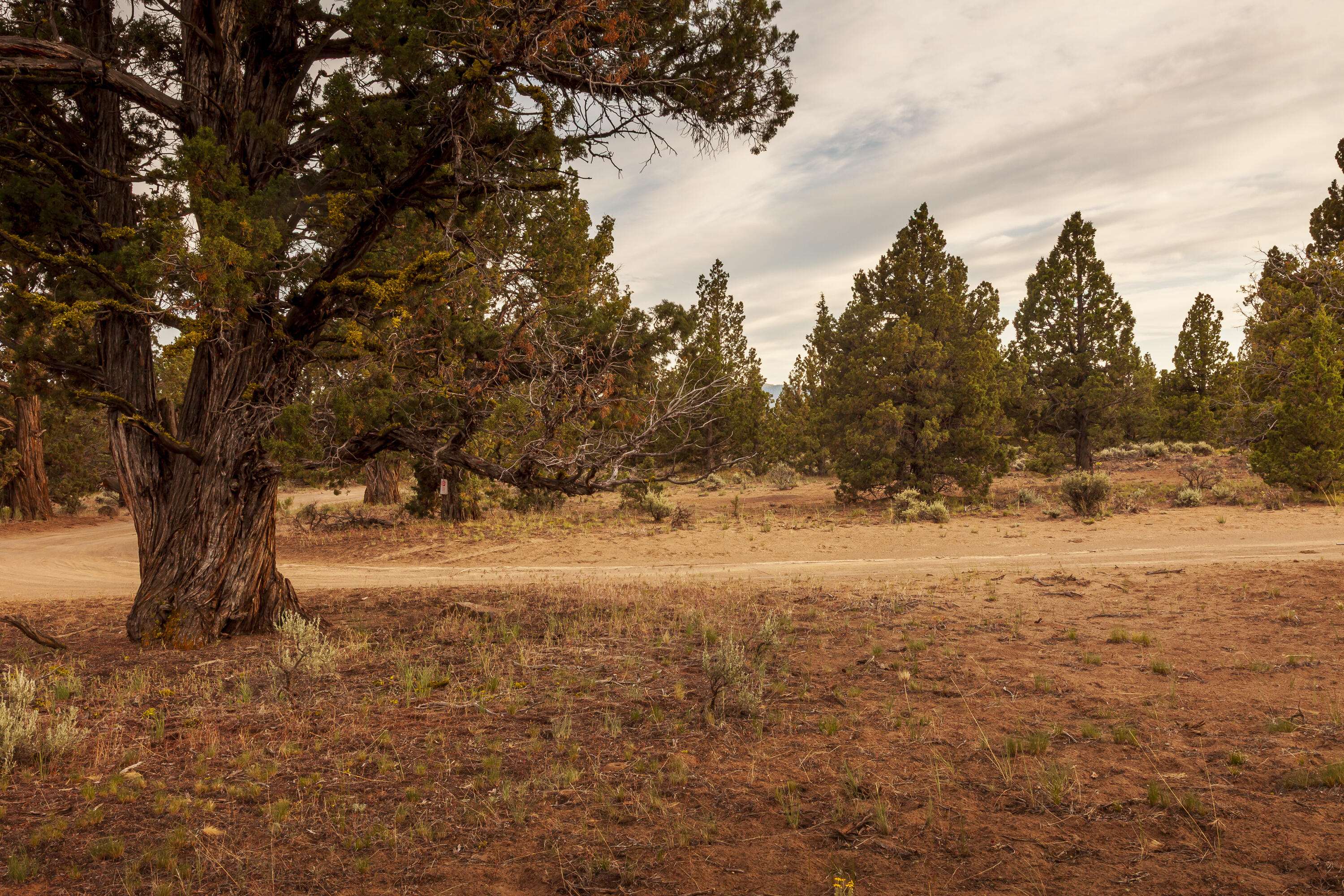 Golden View Ranch - Land