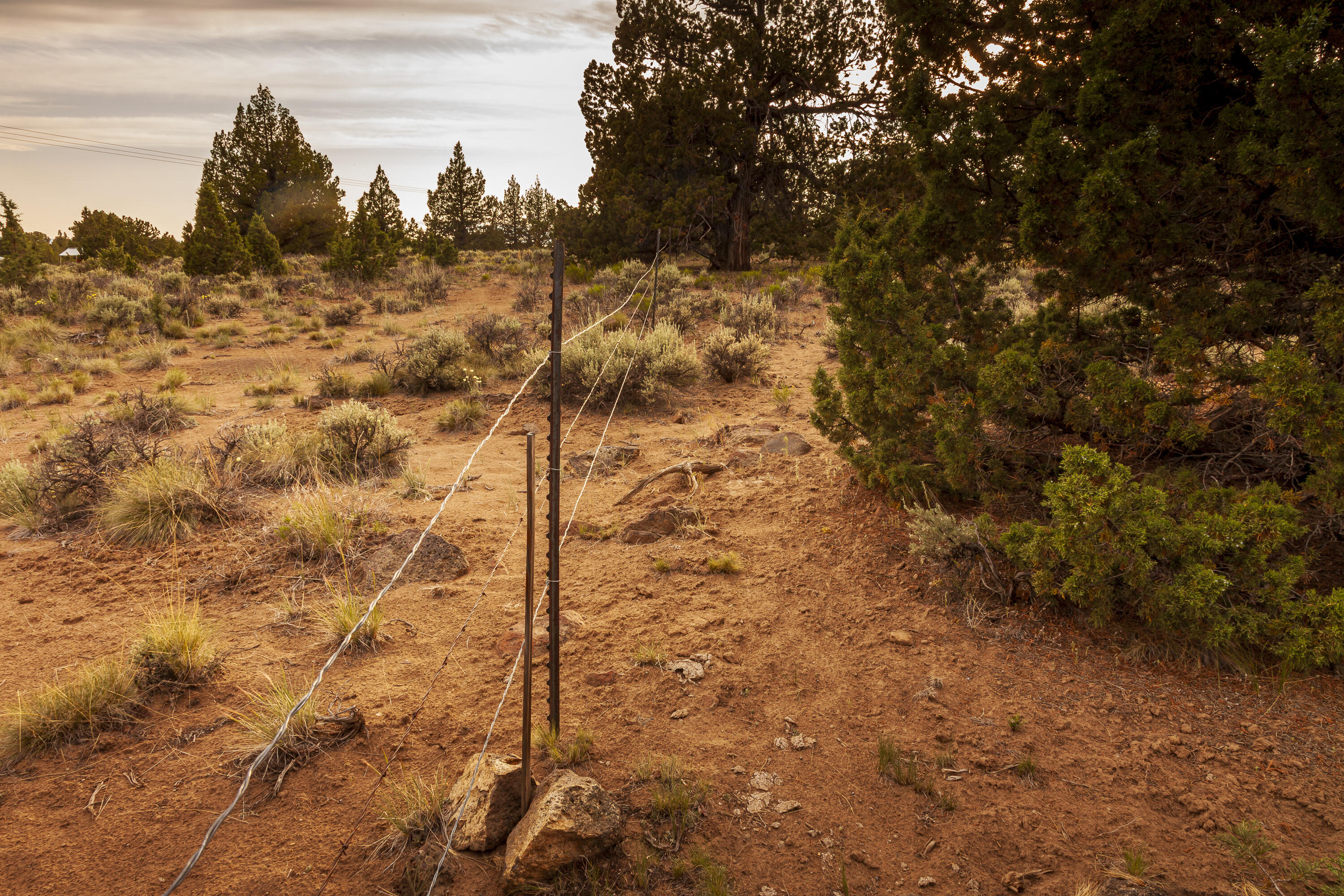 Golden View Ranch - Land