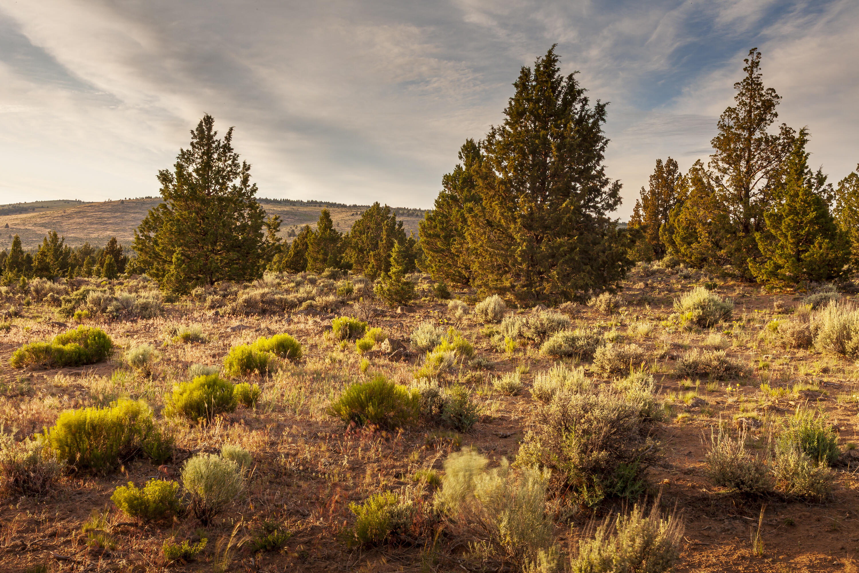 Golden View Ranch - Land