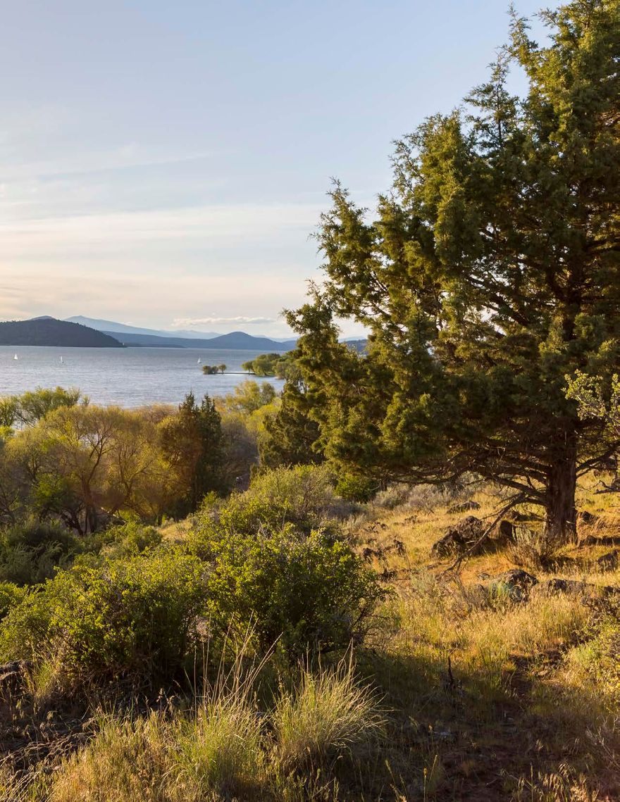 Take a stroll into the great outdoors, this level lot has everything to offer...at RidgeWater's gated community. RidgeWater is known for its quality homes, scenic trails, and quiet natural surroundings, designed to preserve the area's landscape while offering a strong sense of community. Discover the perfect blend of privacy, space, and convenience with the serene lifestyle. The surrounding area speaks for itself, let it take your breath away when you catch a glimpse of the Mountains, Klamath Lake to Mt Scott and Buck Island are just some of the views you could imagine seeing when hiking RidgeWater's mountain trails, paved hiking/biking paths, and 250 acres of open space, outdoor adventure is just steps away. Get ready to build your house of dreams that will give you extra peace living in this gated oasis at RidgeWater.