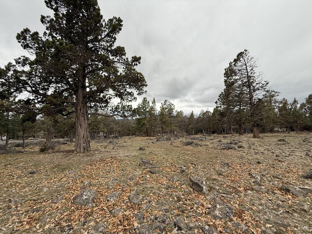 Running YResort - Land