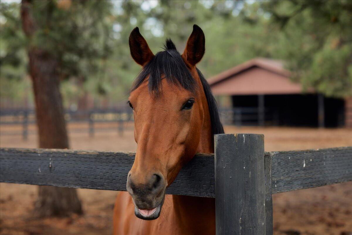 Cascade Meadow Ranch - Residential