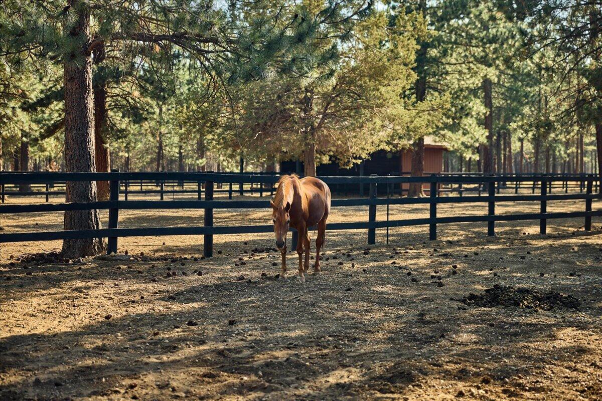 Cascade Meadow Ranch - Residential