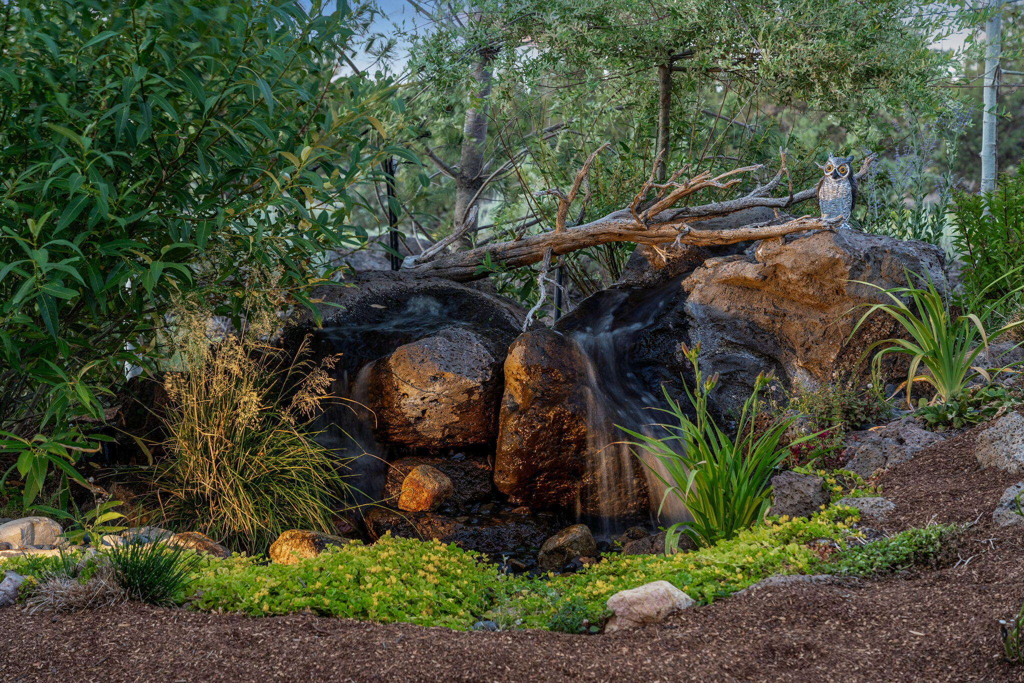 Pronghorn - Residential