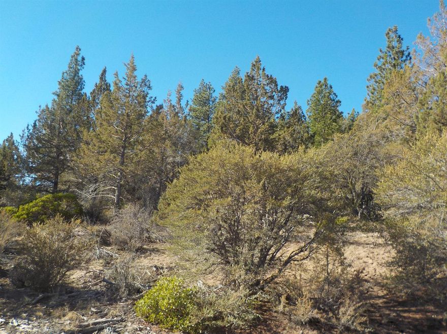 Please call Terri Maiden DPB for information on property. Large parcel made up of two tax lots that would provide great recreational entertainment or possibly a home site. Buyer to do their own due diligence regarding approved uses, utilities, access, overlays, etc.. Deer, antelope, coyotes, etc. are seen on this property. Excellent recreation property for hunting, atv use, shooting, snowmobiling, wildlife watching.