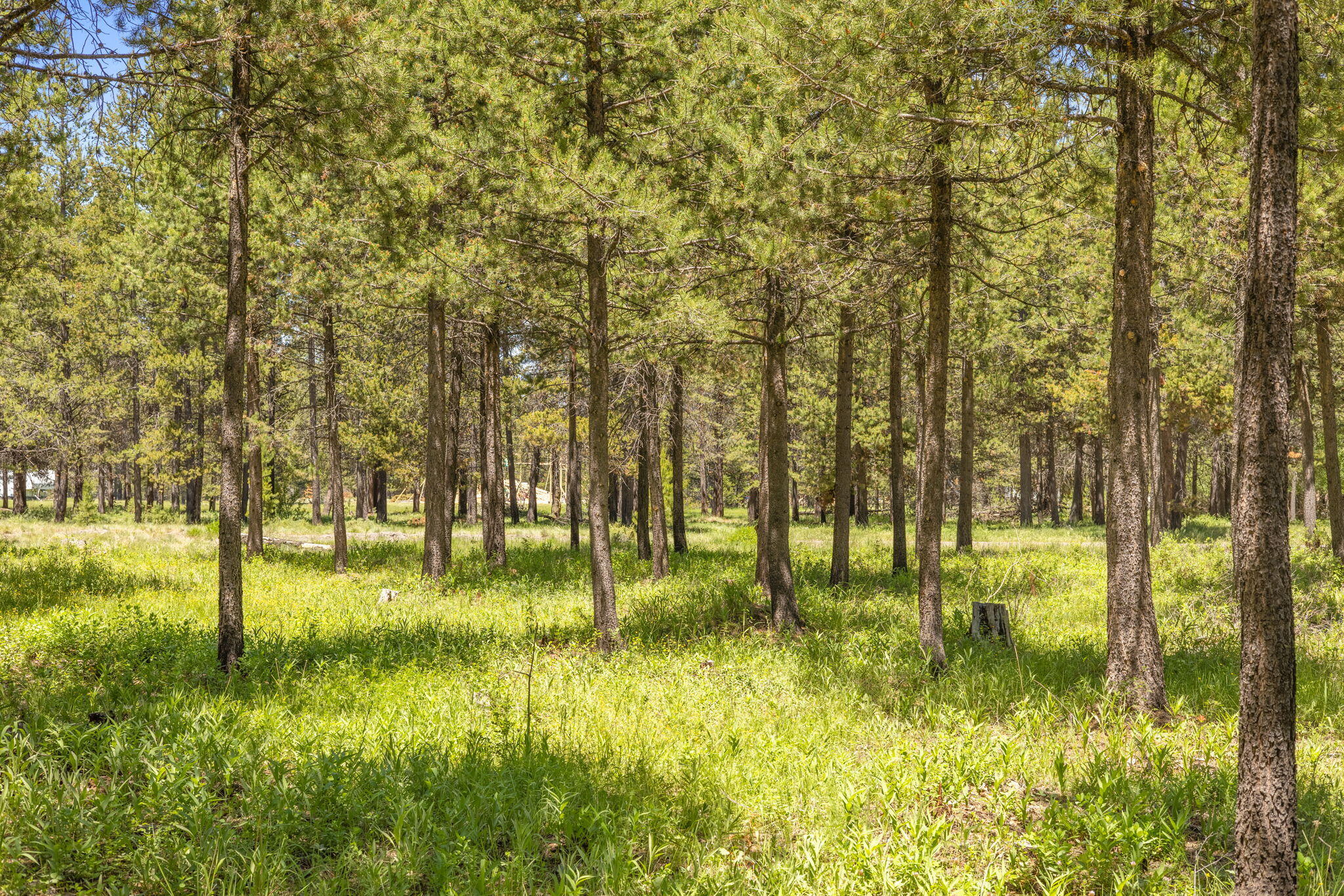 Bend, Oregon 97707, United States, ,Land,Active,157884