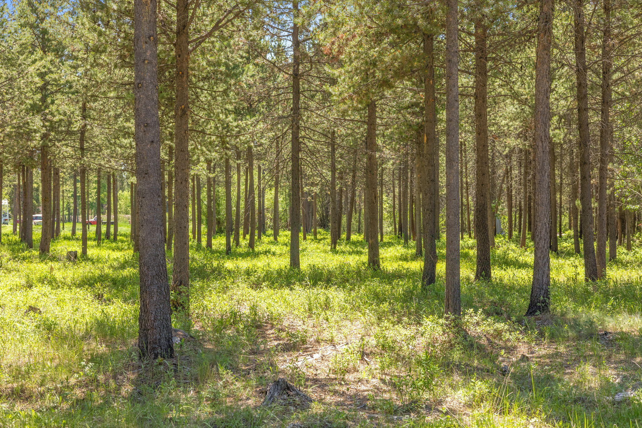 Bend, Oregon 97707, United States, ,Land,Active,157884