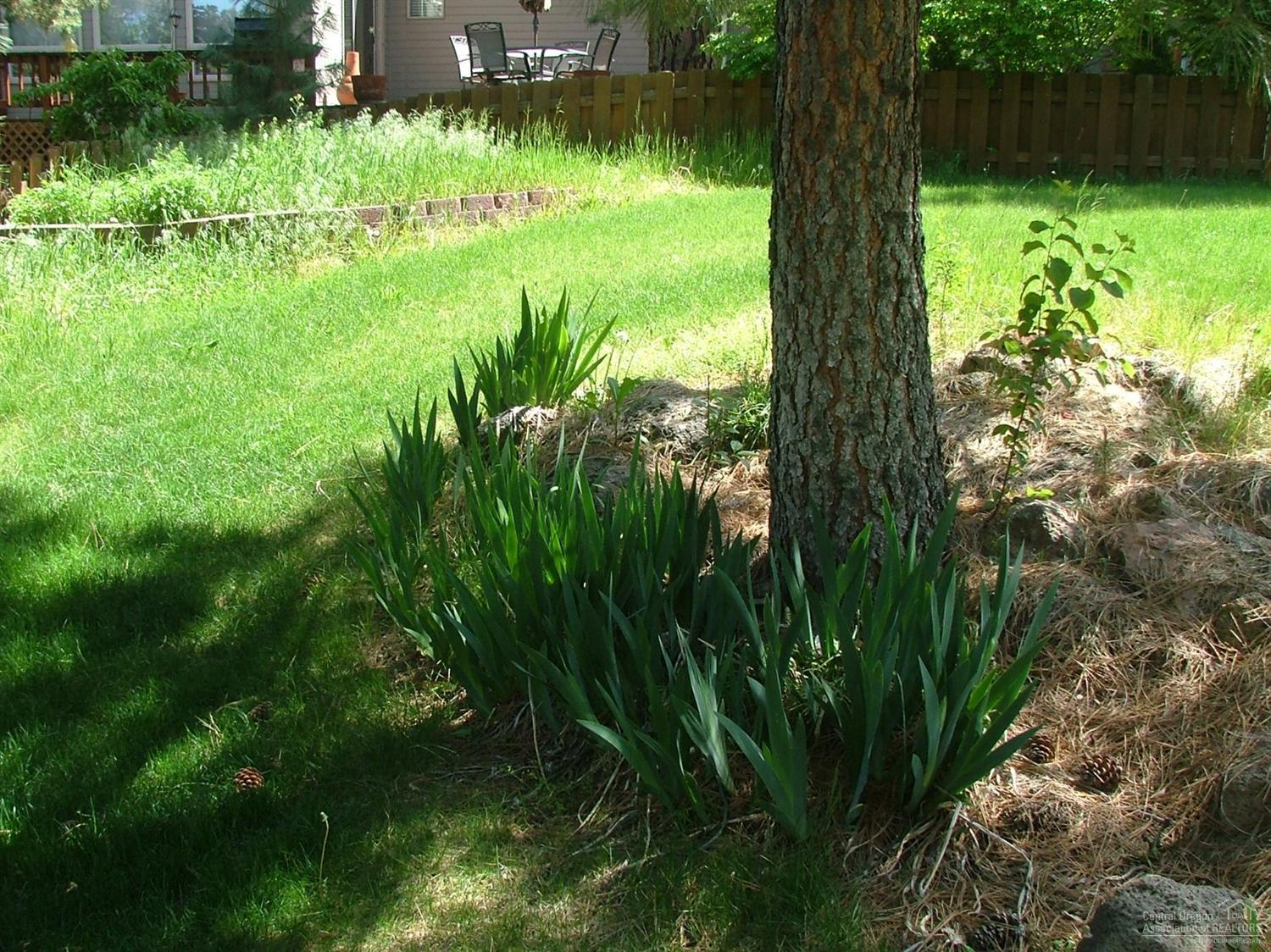 Deer Pointe Village - Residential