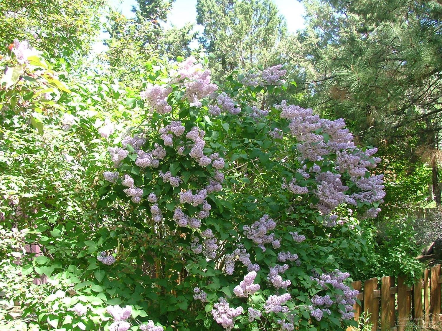 Deer Pointe Village - Residential