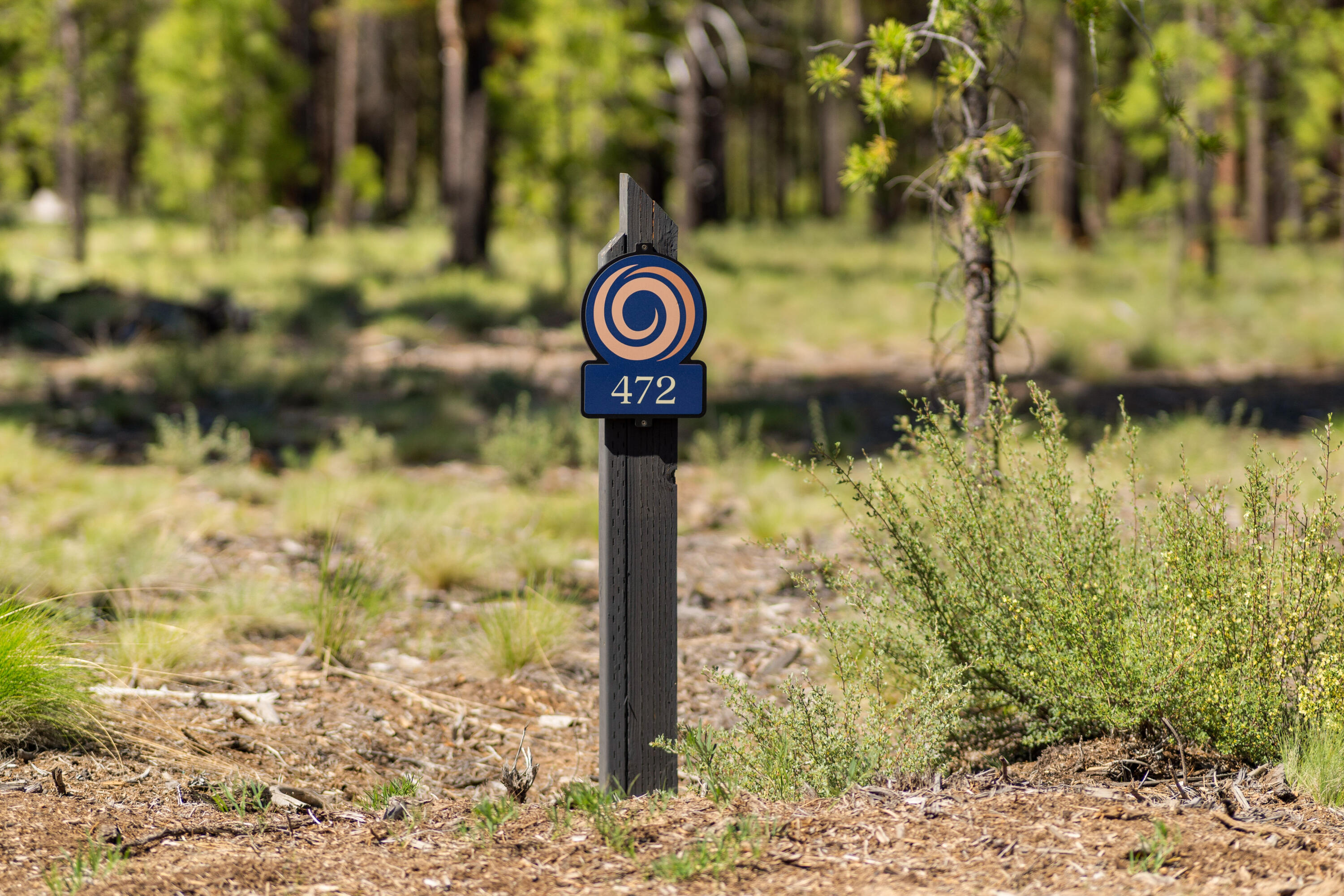 Caldera Springs - Land