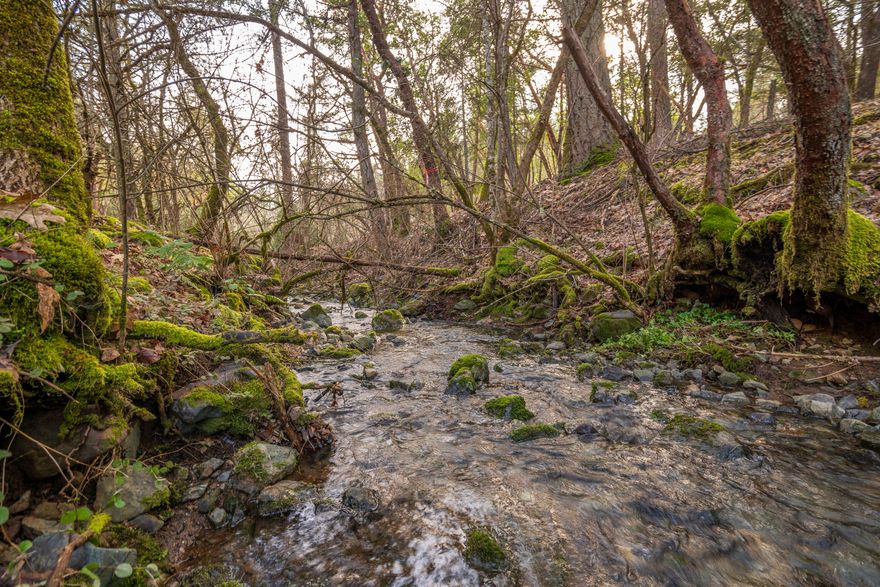 *UPDATED CC&R'S including manufactured or modular home & additional animals.** 
Fantastic opportunity to build your dream home! This private 2.52-acre lot is tucked away off the road offering a peaceful, secluded setting yet just minutes from town. The lot comes equipped with essential infrastructure already in place, including power to the site, well, and approved septic—making it ready for your custom home build. Seasonal Jones Creek meanders through the lower portion of the property, adding natural charm. Enjoy access to 6.24 acres of common area for hiking and exploring. Bring your builder and plans—this property is ready for your custom home.