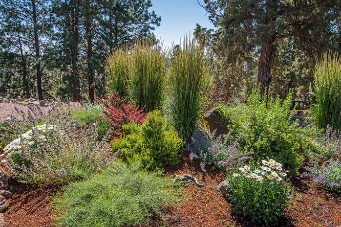 Squaw Creek Canyon - Residential