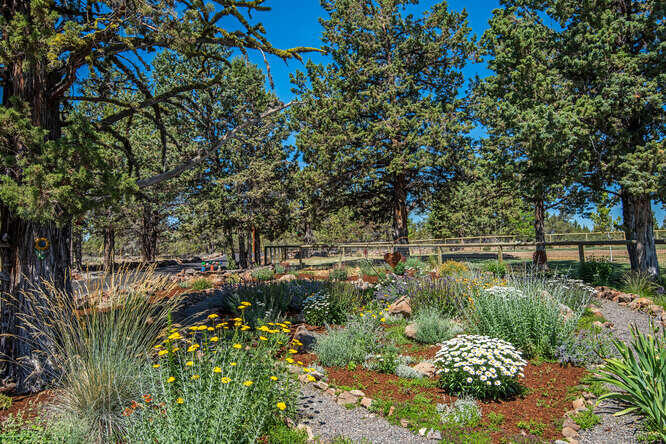 Squaw Creek Canyon - Residential