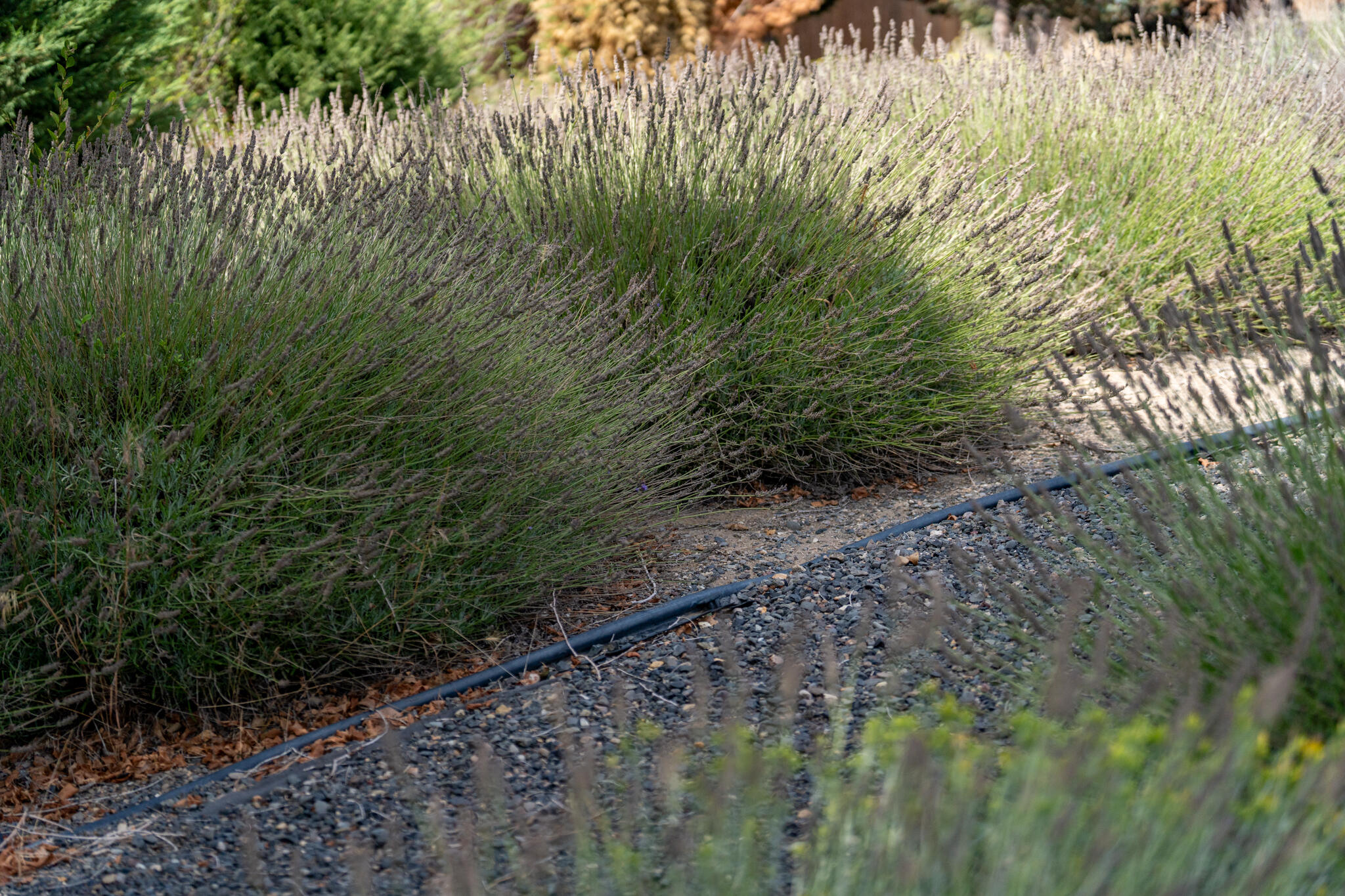 Crr8_C - Residential