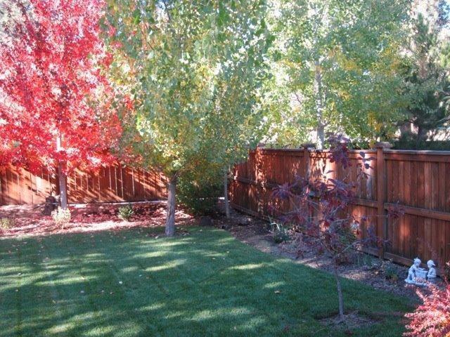 Mountain Pine - Residential