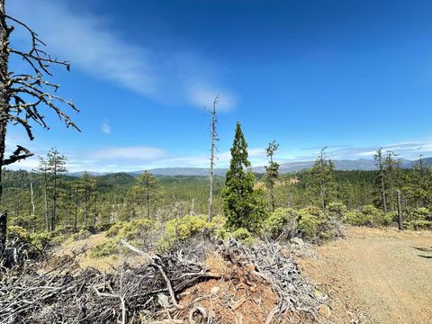 Tiny photo for 3300 Waldo Road, OBrien, OR 97534 (MLS # 220210259)