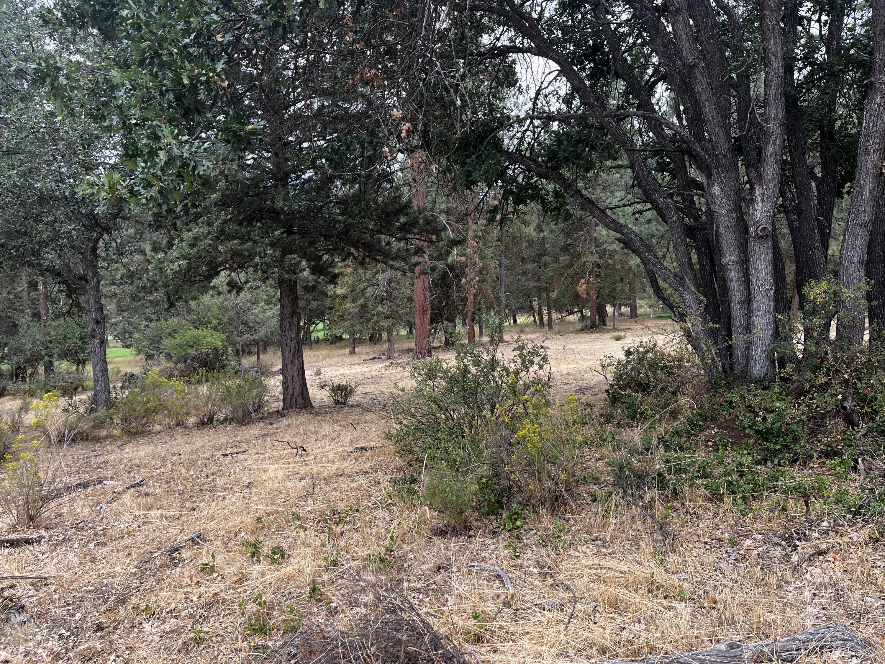 Running YResort - Land