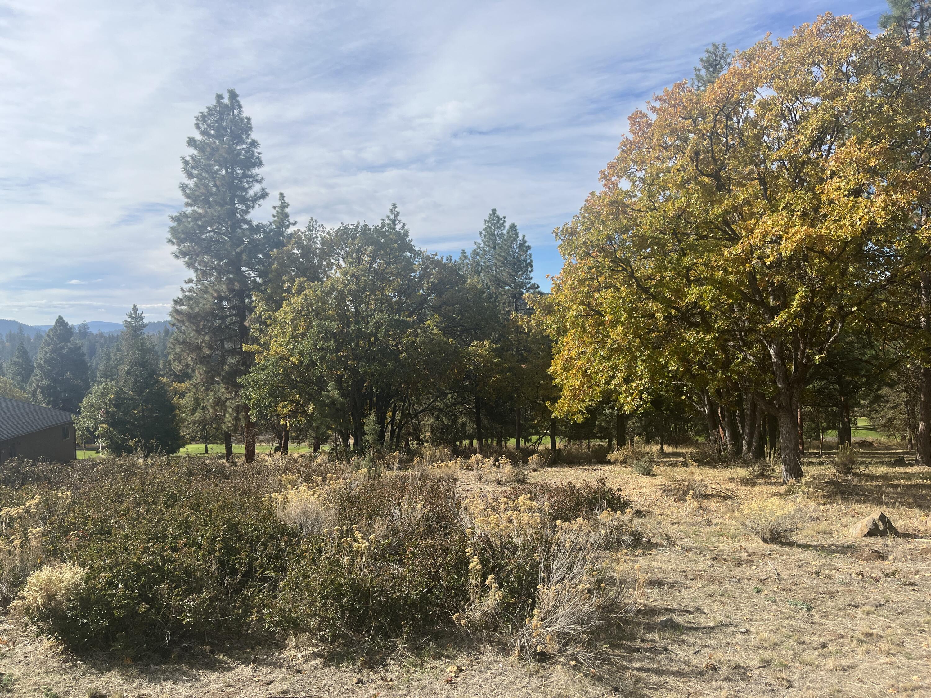 Running YResort - Land