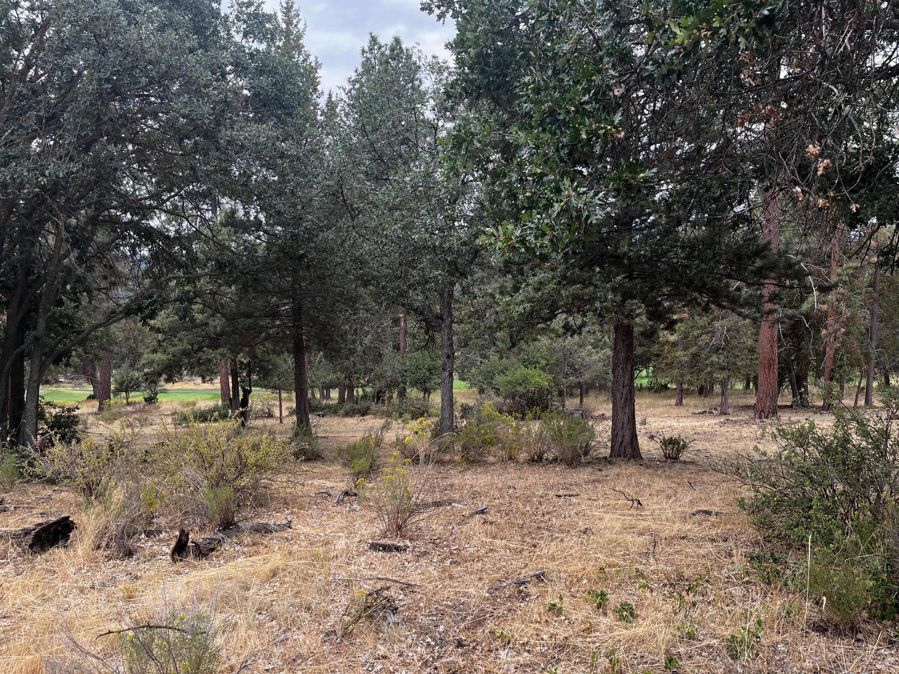 Running YResort - Land