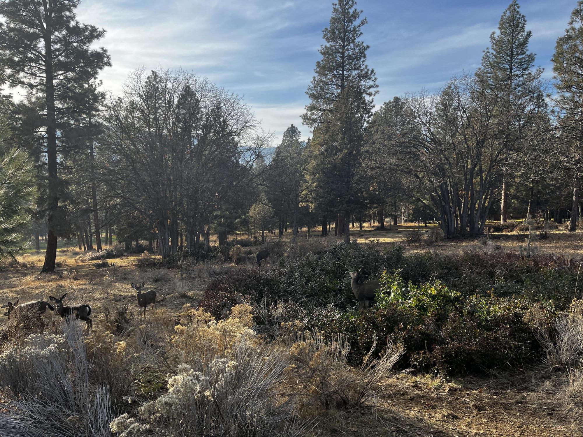 Running YResort - Land