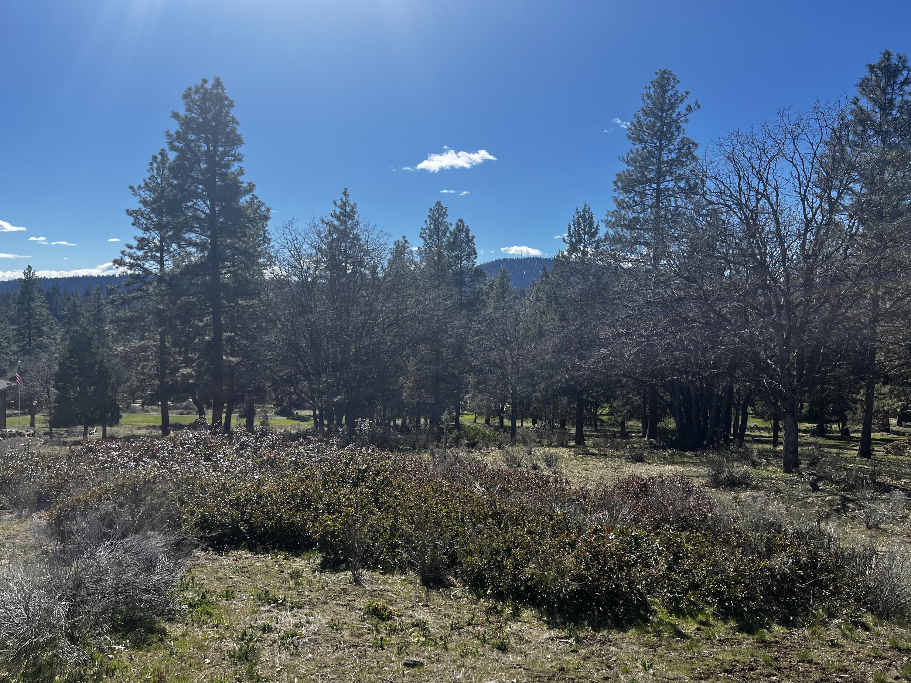 Running YResort - Land