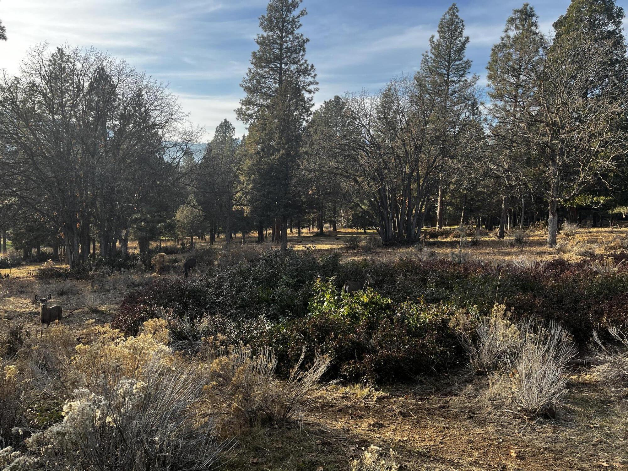 Running YResort - Land