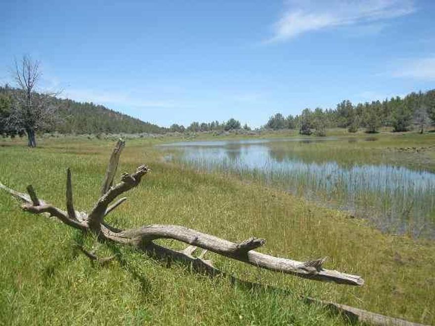 The Spectacular Topography Ranges From Mature Pine And Juniper Covered Hills To Large Grazing Meadows With Water Reservoirs And Seasonal Streams. Merchantable Timber And Sizeable Permitted Aggregate Pit Also Located On Property.