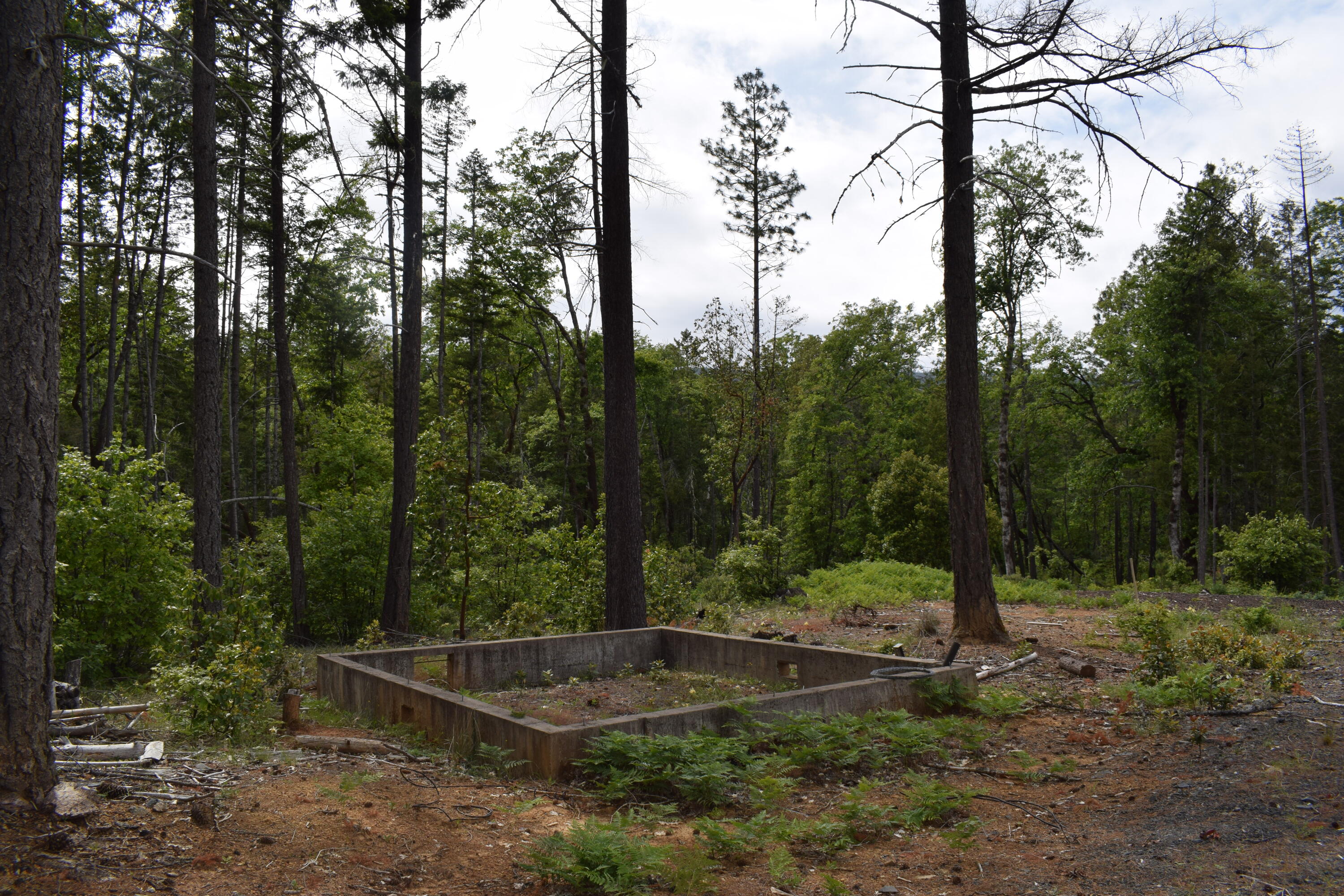 35000 Redwood Highway