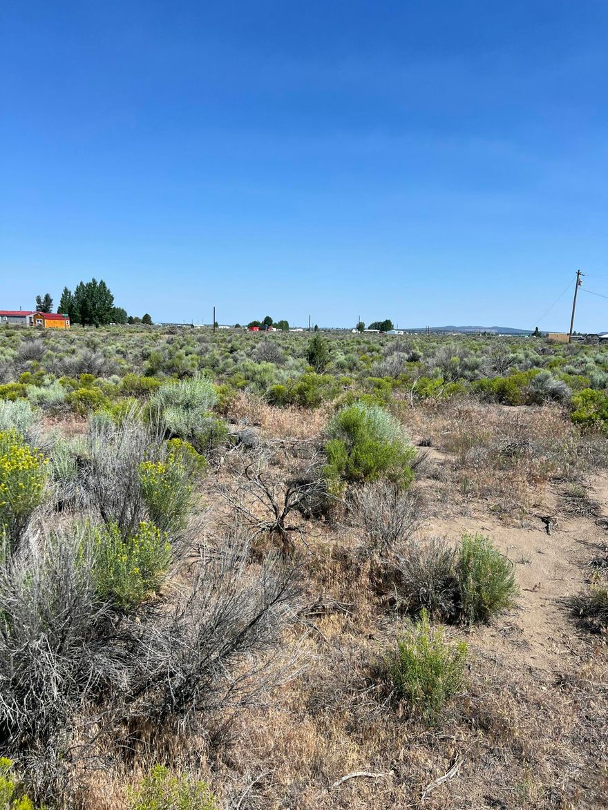 0.09 Acres in Christmas Valley! Enjoy the perfect getaway spot in the heart of Christmas Valley! This lot is just steps from Baert Lake, the post office, hardware store, and local dining. Golfers will love being minutes from the Christmas Valley Golf Course. Come enjoy small-town charm and outdoor beauty in this sunny Oregon community!