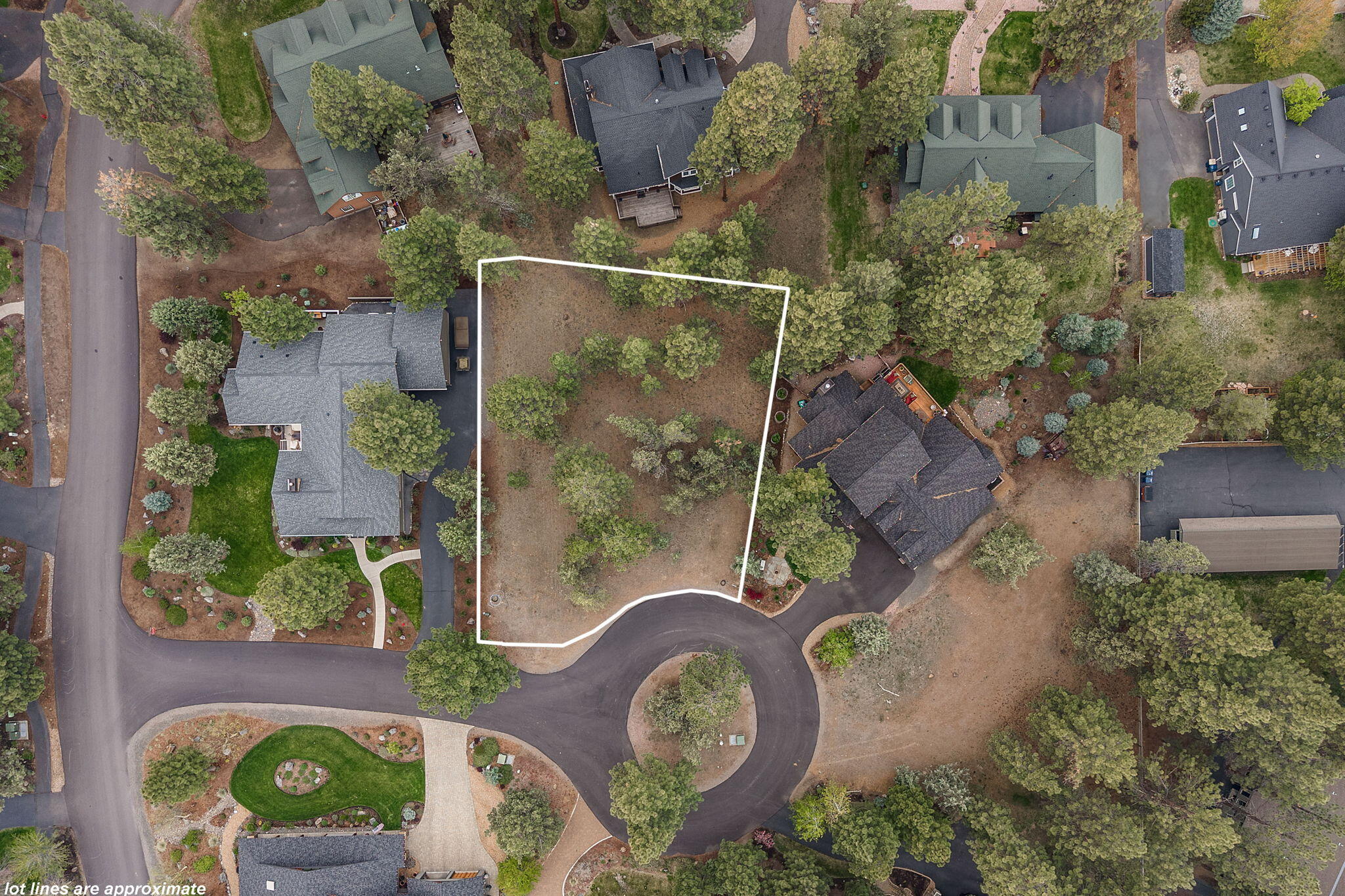 Coyote Springs - Land