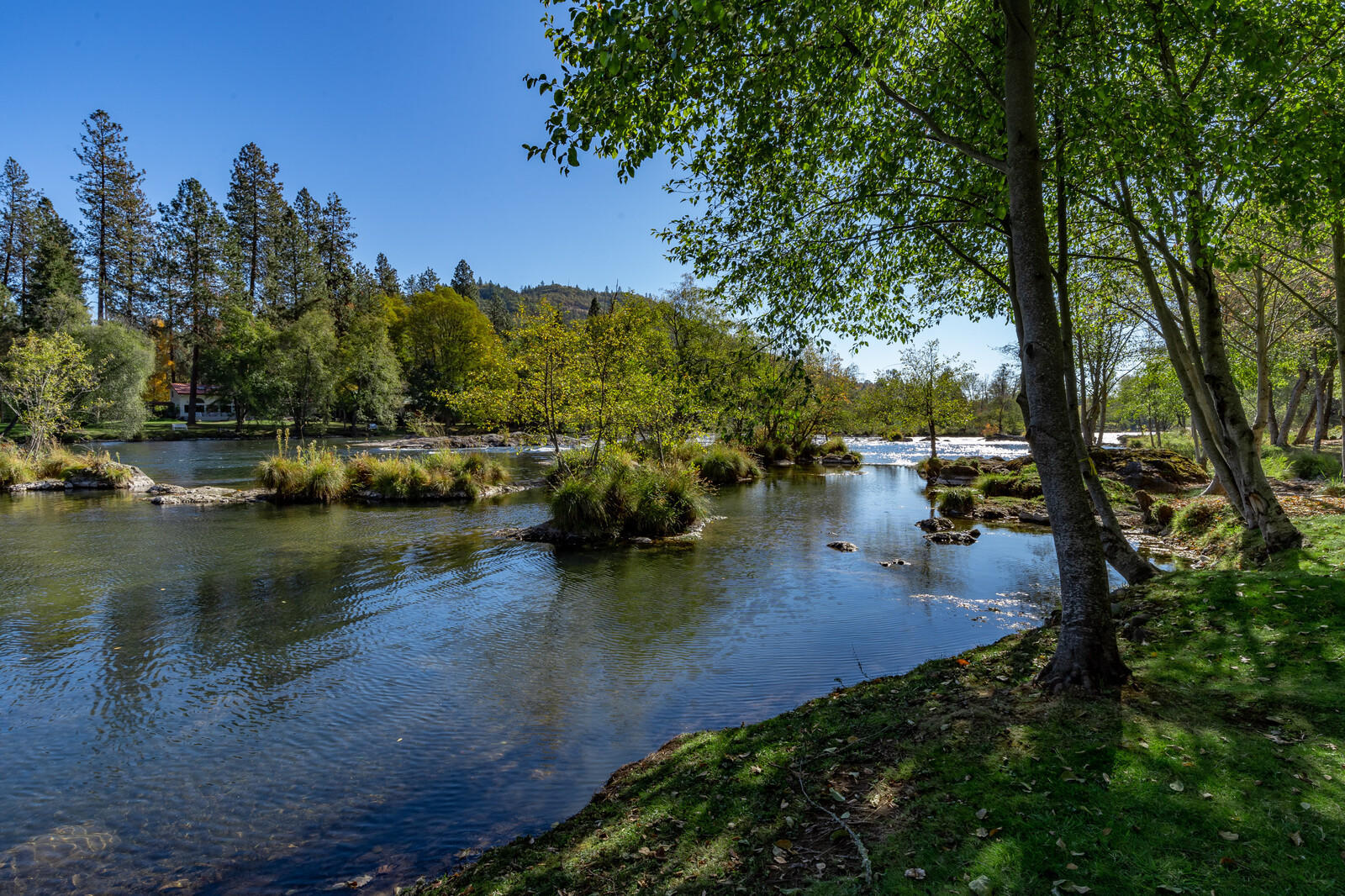 Edgewood Park - Residential