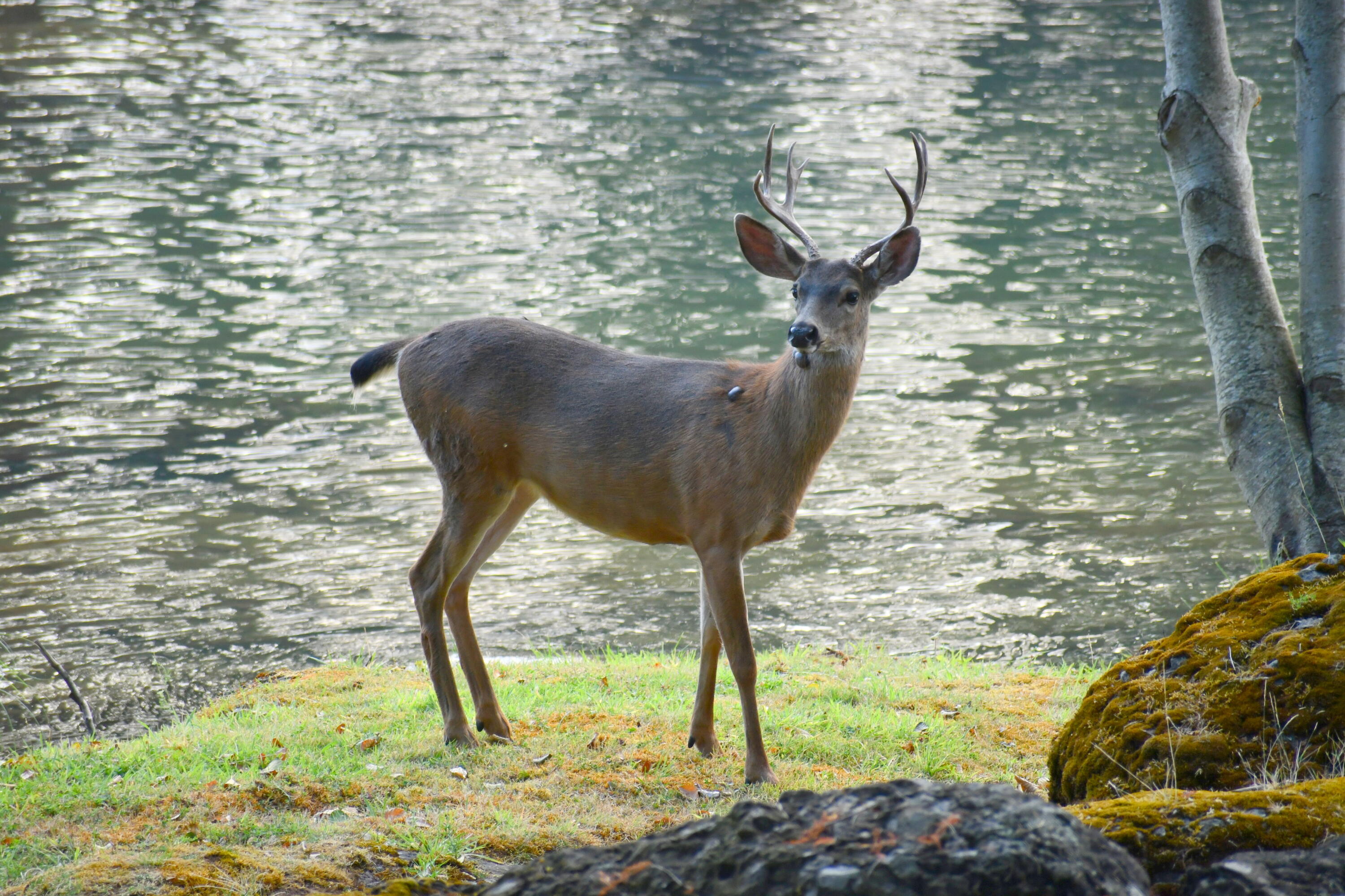 Edgewood Park - Residential