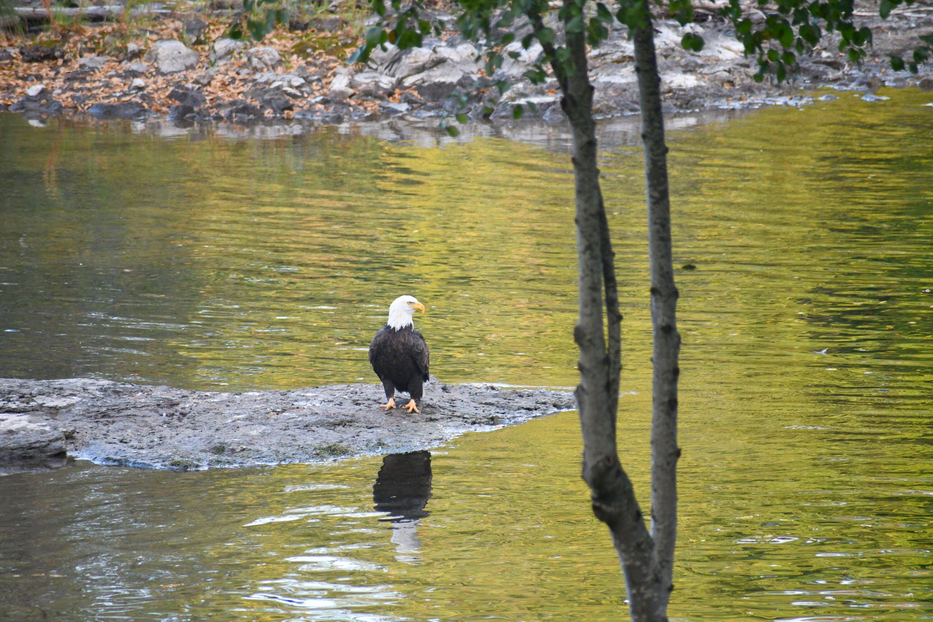 Edgewood Park - Residential