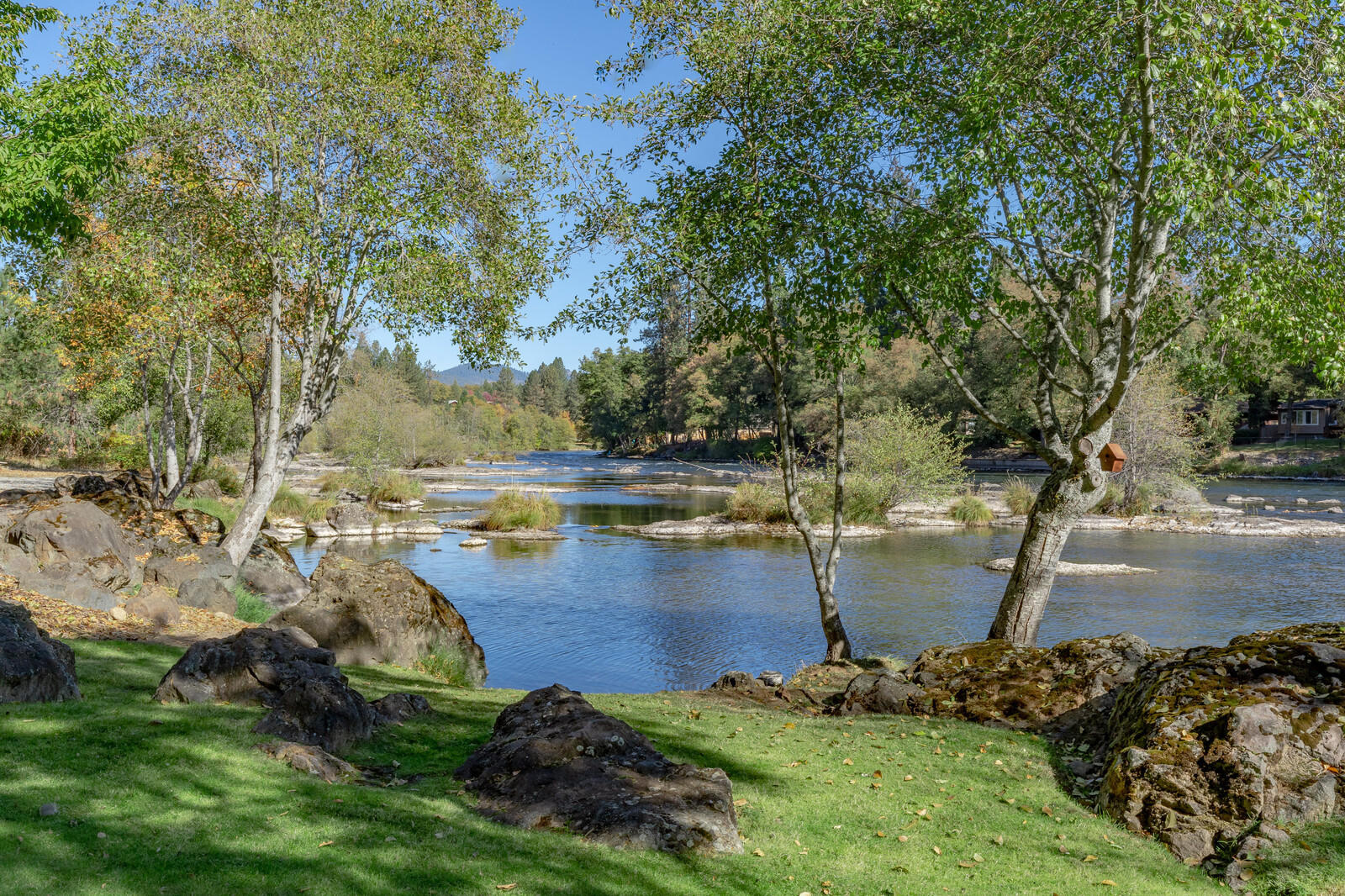 Edgewood Park - Residential