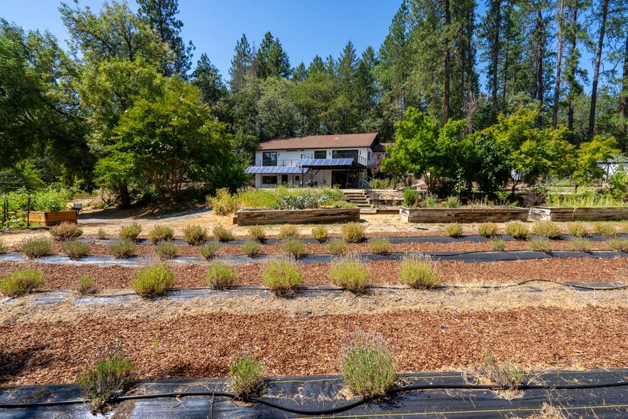 Don't miss your chance to own a piece of Oregon paradise! This stunning home and property truly have it all. Upon entering, you'll be welcomed by a beautiful wood-beamed great room, featuring views through an extra-large sliding door that opens to a spacious Trex deck. The tile roof will last a lifetime!
The remodeled kitchen is a chef's dream, with vast countertops, ample cabinets and an eight-burner propane stove with double ovens and a pot filler. Beautiful flooring flows throughout, leading to the bedrooms and guest bathroom. The primary ensuite features a luxurious, large pebble-stone walk-in shower. The lower level has a large second primary en-suit with a private entrance, a two-car garage with an epoxy coated floor and shop area. The landscaping is meticulously done, with a drip irrigation system. The backyard is a gardener's oasis—serene and lush, complete with fruit trees, raised garden beds, and walking paths that lead to the bordering Harris Creek.