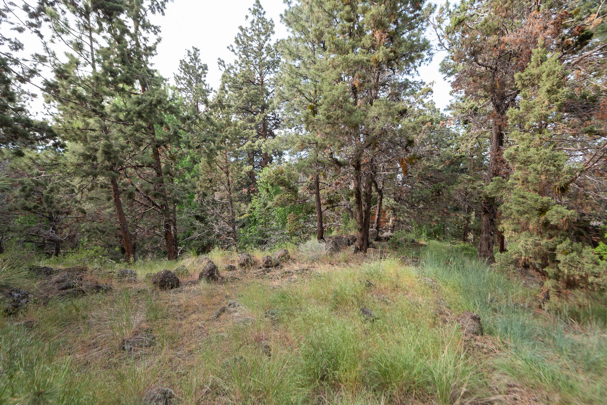 Parkridge - Residential