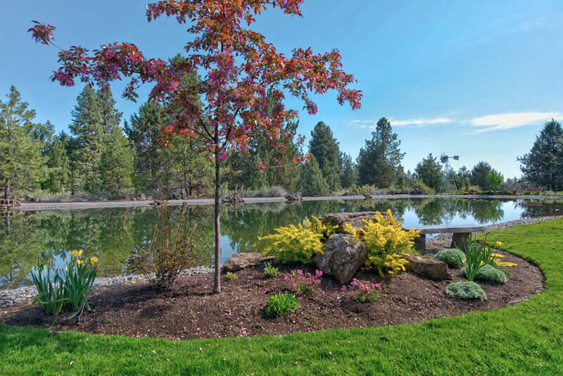 Mtn High - Residential