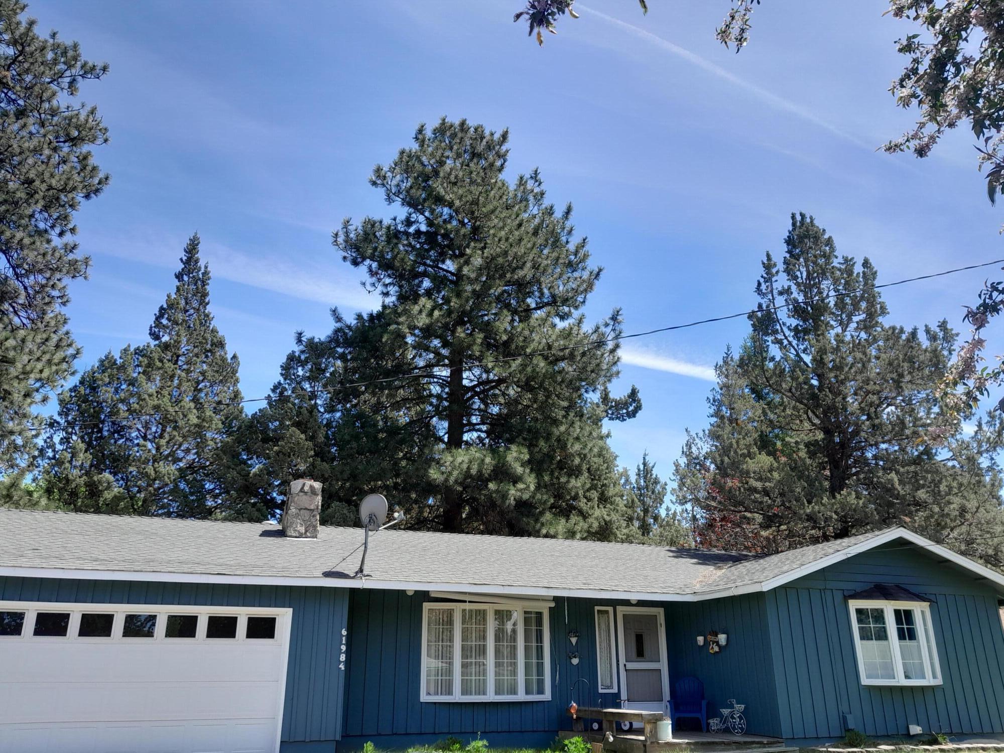 61984 Pettigrew Road