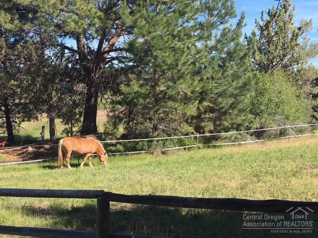 Bear Springs Acres - Land