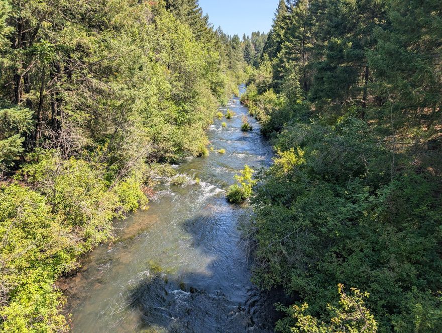 This property with homesite, septic, and well sits on almost 180 acres! Views of Mt. McLaughlin with over 1200 ft of Little Butte Creek running through it, boasting blue ribbon trout. Wildlife galore including black bear, turkeys, elk, and blacktail deer. There are Douglas Fir, Ponderosa Pines, Incense Cedars, Laurel/Madrone, Ash, White Fir, Black Oak, Alder, and Sugar Pines all over the property. Gated access. Come breath the mountain air and build your retreat.